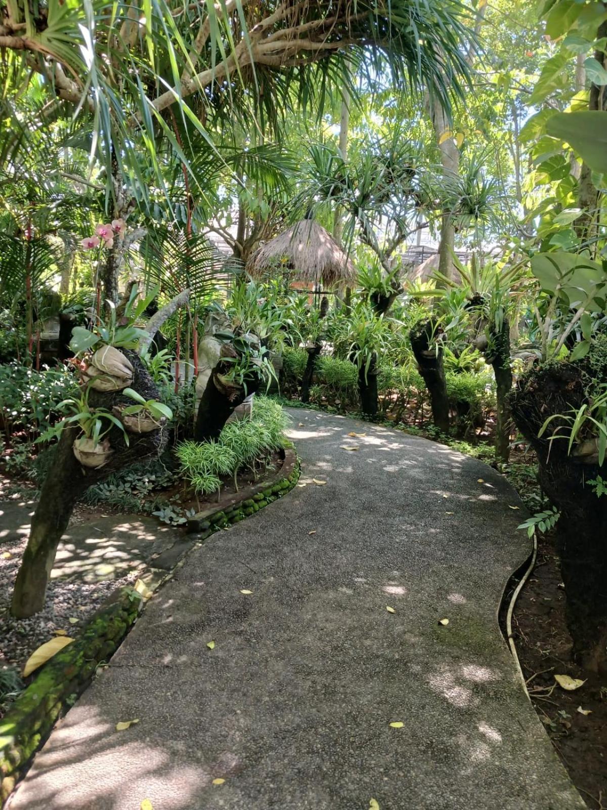 Kartika Dahayu Private Pool Villas Sukawati المظهر الخارجي الصورة
