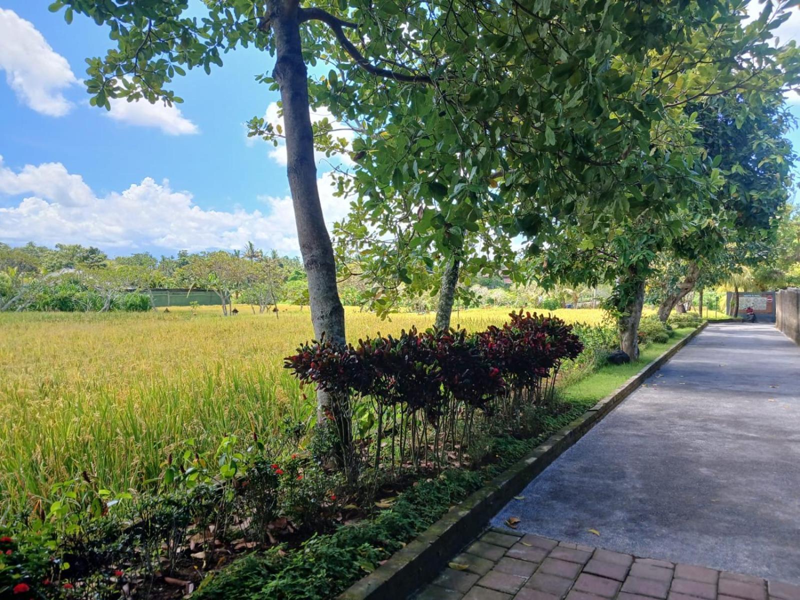 Kartika Dahayu Private Pool Villas Sukawati المظهر الخارجي الصورة