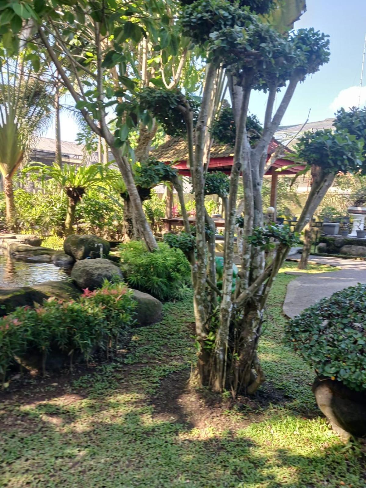 Kartika Dahayu Private Pool Villas Sukawati المظهر الخارجي الصورة
